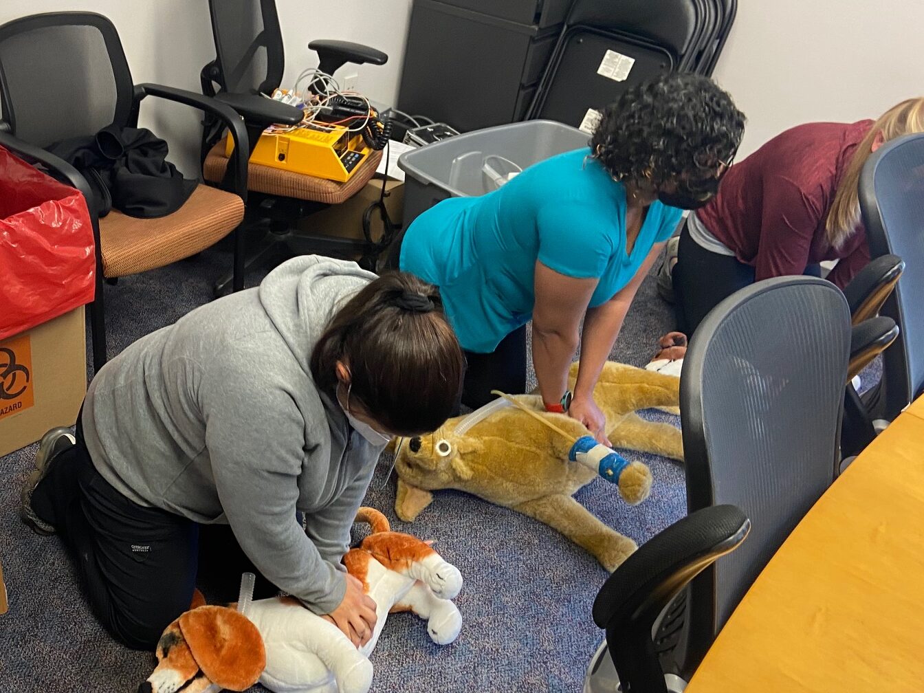 Why Choose My CPR NOW for Your Pet CPR and First Aid Certification?