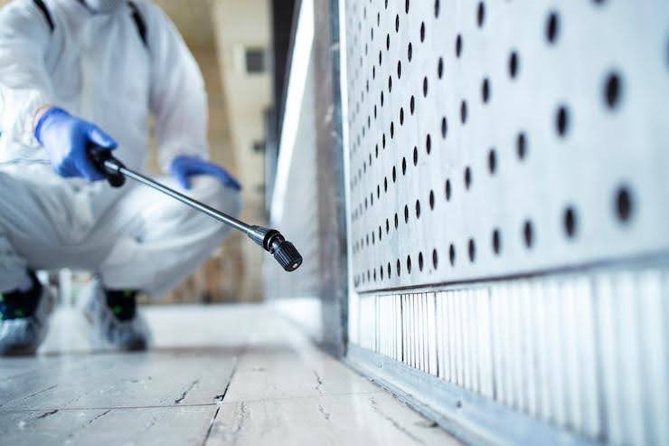 Top 5 Strategies for Successful Pest Extermination in Homes